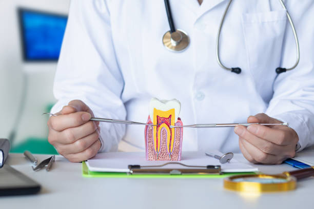 Best Emergency Dental Care for Sports Injuries in Lansdowne, MD